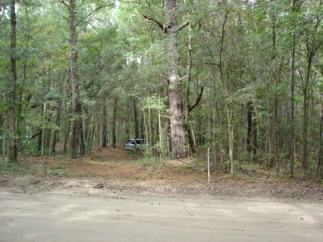 7375 Jenkins Hill Road Edisto Island, SC 29438 - Photo 2 of 11 7375 Jenkins Hill Road 001