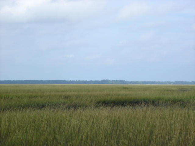 7375 Jenkins Hill Road Edisto Island, SC 29438 - Photo 11 of 11 7375 Jenkins Hill Road 011