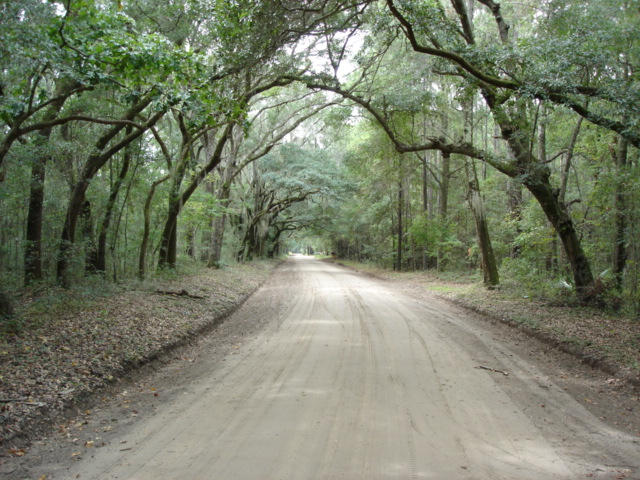 7375 Jenkins Hill Road Edisto Island, SC 29438 - Photo 3 of 11 7375 Jenkins Hill Road 002