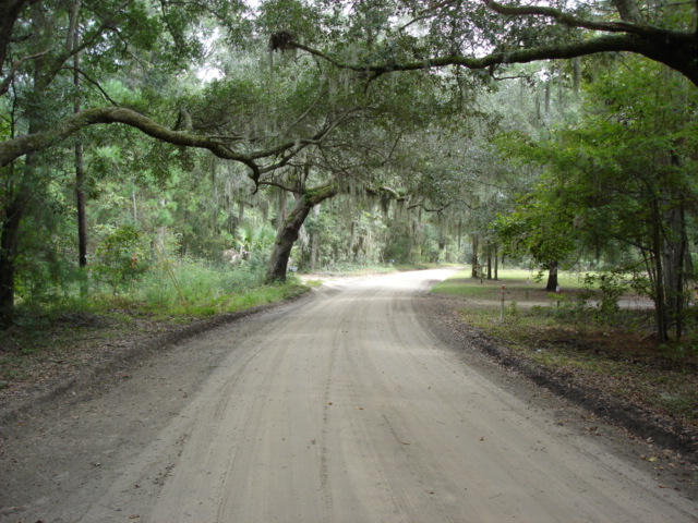 7375 Jenkins Hill Road Edisto Island, SC 29438 - Photo 4 of 11 7375 Jenkins Hill Road 003