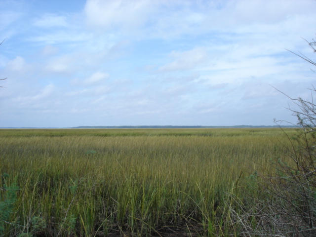 7375 Jenkins Hill Road Edisto Island, SC 29438 - Photo 7 of 11 7375 Jenkins Hill Road 006