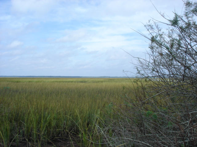 7375 Jenkins Hill Road Edisto Island, SC 29438 - Photo 8 of 11 7375 Jenkins Hill Road 007