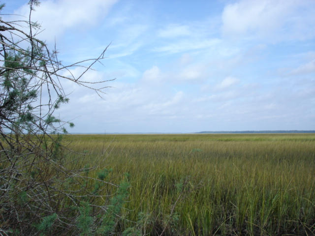 7375 Jenkins Hill Road Edisto Island, SC 29438 - Photo 9 of 11 7375 Jenkins Hill Road 008