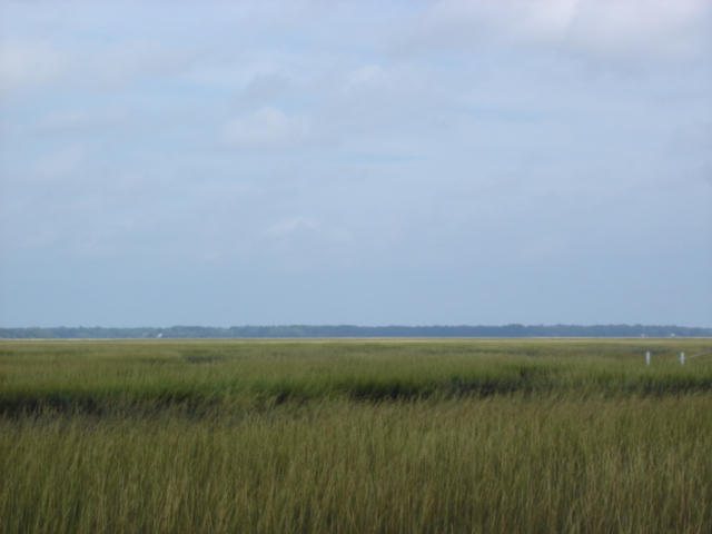 7375 Jenkins Hill Road Edisto Island, SC 29438 - Photo 10 of 11 7375 Jenkins Hill Road 010