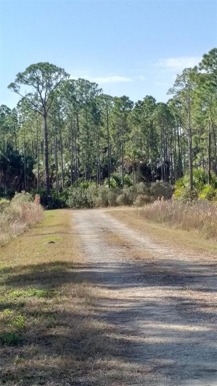 7 Southwest 104th Court Cedar Key, FL 32625 - Photo 1 of 5 a view of a yard and mountain