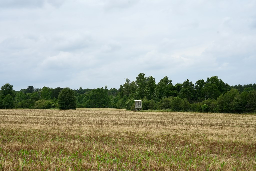 Xx Fortenberry Road Tylertown, MS 39667 - Photo 15 of 33 Photo 15