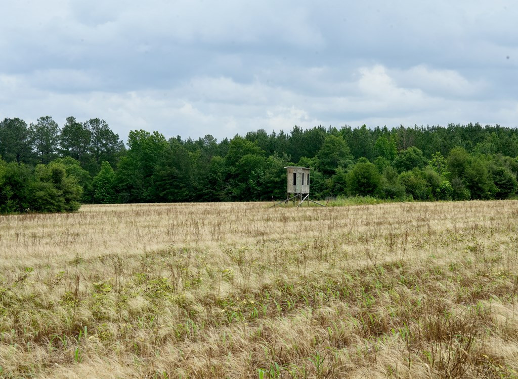 Xx Fortenberry Road Tylertown, MS 39667 - Photo 23 of 33 Photo 23