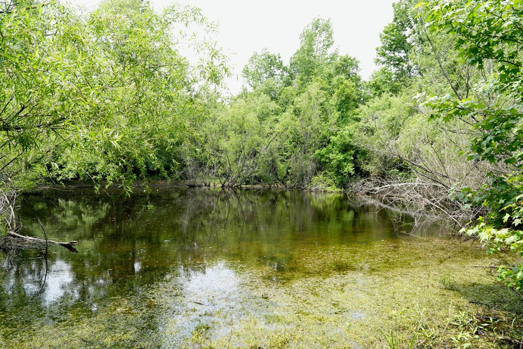 Xx Fortenberry Road Tylertown, MS 39667 - Photo 3 of 33 Photo 3
