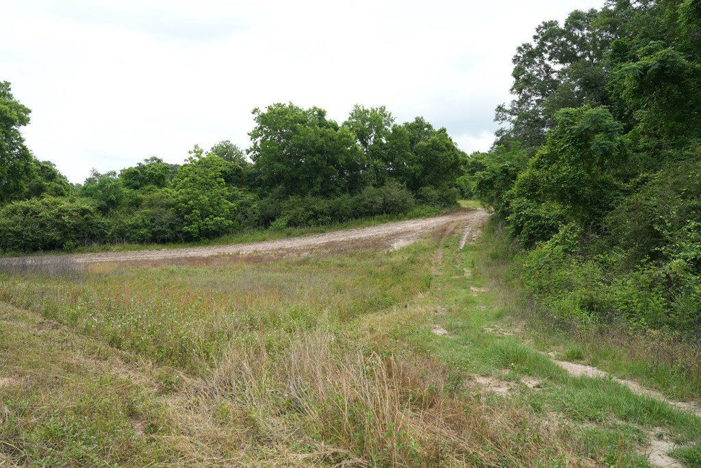 Xx Fortenberry Road Tylertown, MS 39667 - Photo 33 of 33 Photo 33