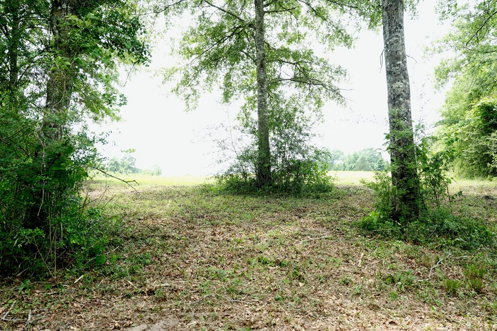 Xx Fortenberry Road Tylertown, MS 39667 - Photo 7 of 33 Photo 7