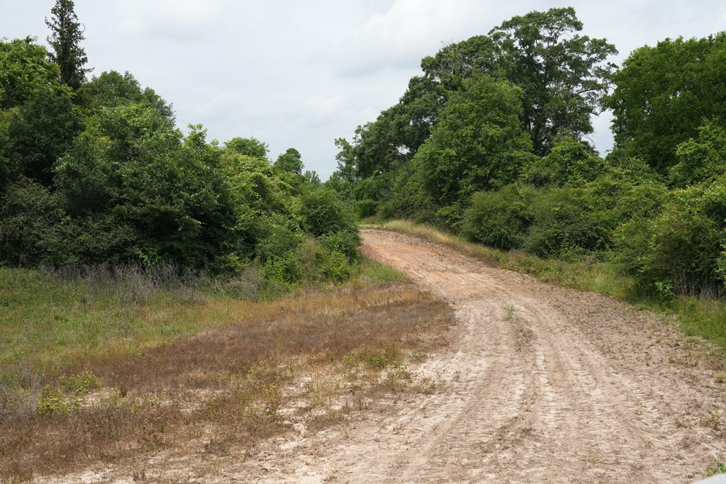 Xx Fortenberry Road Tylertown, MS 39667 - Photo 8 of 33 Photo 8