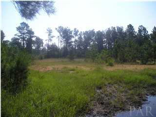 9100-blk Robinsonville Road Atmore, AL 36502 - Photo 1 of 15