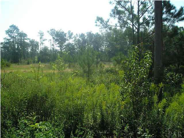 9100-blk Robinsonville Road Atmore, AL 36502 - Photo 11 of 15