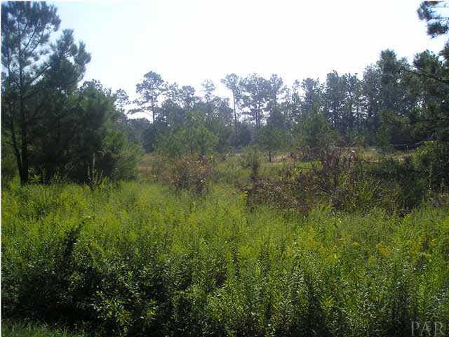 9100-blk Robinsonville Road Atmore, AL 36502 - Photo 12 of 15