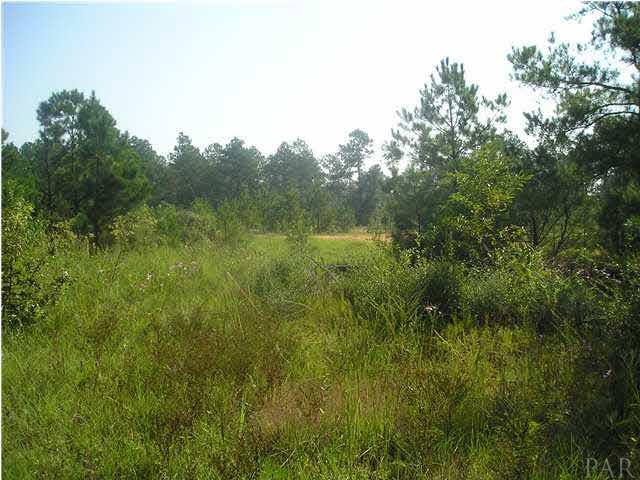 9100-blk Robinsonville Road Atmore, AL 36502 - Photo 13 of 15