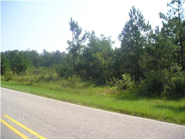 9100-blk Robinsonville Road Atmore, AL 36502 - Photo 14 of 15