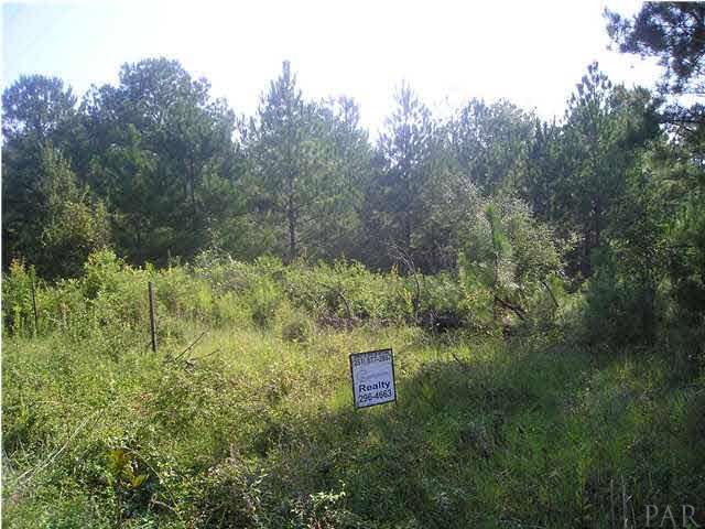 9100-blk Robinsonville Road Atmore, AL 36502 - Photo 2 of 15