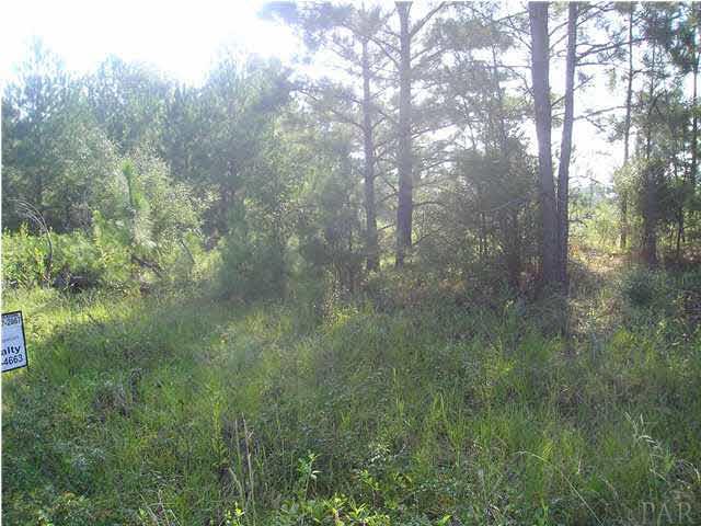 9100-blk Robinsonville Road Atmore, AL 36502 - Photo 3 of 15
