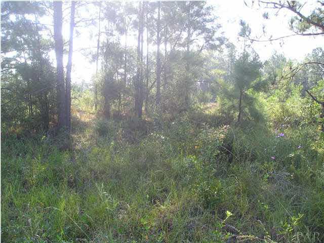9100-blk Robinsonville Road Atmore, AL 36502 - Photo 4 of 15