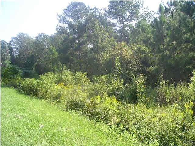 9100-blk Robinsonville Road Atmore, AL 36502 - Photo 5 of 15