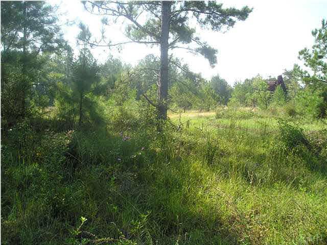 9100-blk Robinsonville Road Atmore, AL 36502 - Photo 6 of 15