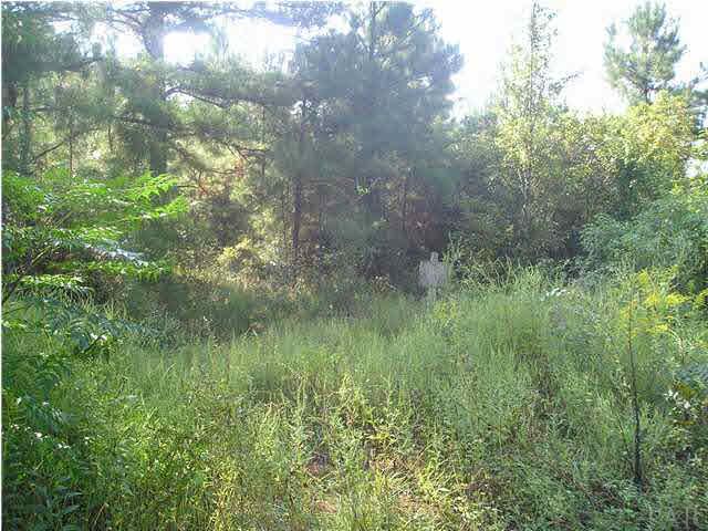 9100-blk Robinsonville Road Atmore, AL 36502 - Photo 7 of 15
