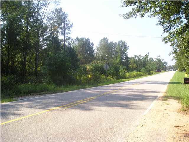 9100-blk Robinsonville Road Atmore, AL 36502 - Photo 10 of 15
