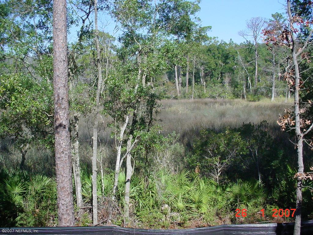 marsh view