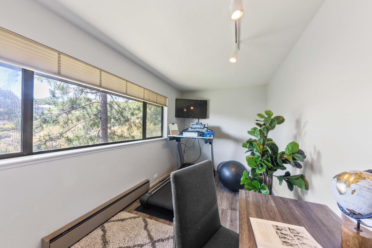 1305 Southdown Road Hillsborough, CA 94010 - Photo 45 of 72 a living room with furniture and a potted plant