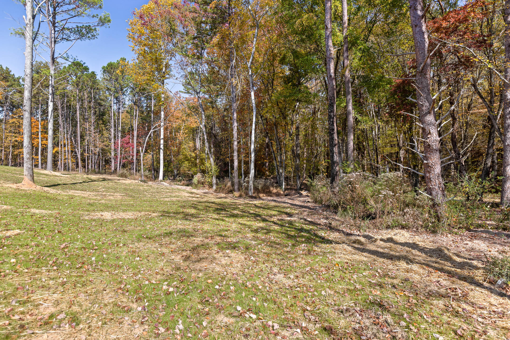 6417 Shirley Pond Road Harrison, TN 37341 - Photo 36 of 42 ShirleyPond-38
