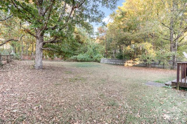a view of road with large trees