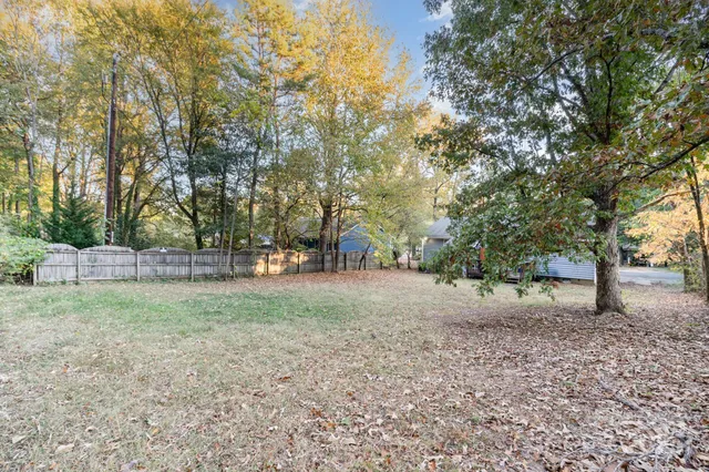 a view of a tree in the middle of a yard