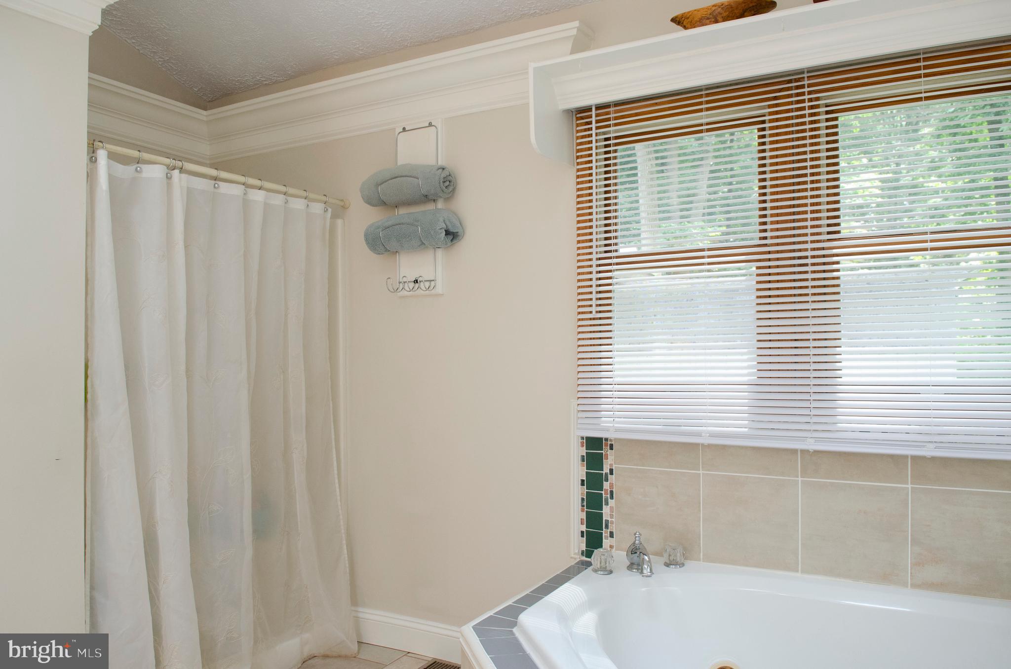 425 Old Conowingo Road Conowingo, MD 21918 - Photo 37 of 60 Gallery Image 37