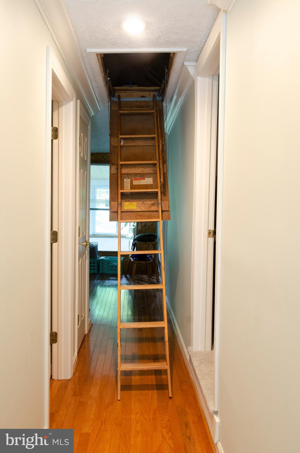 425 Old Conowingo Road Conowingo, MD 21918 - Photo 39 of 60 Gallery Image 39