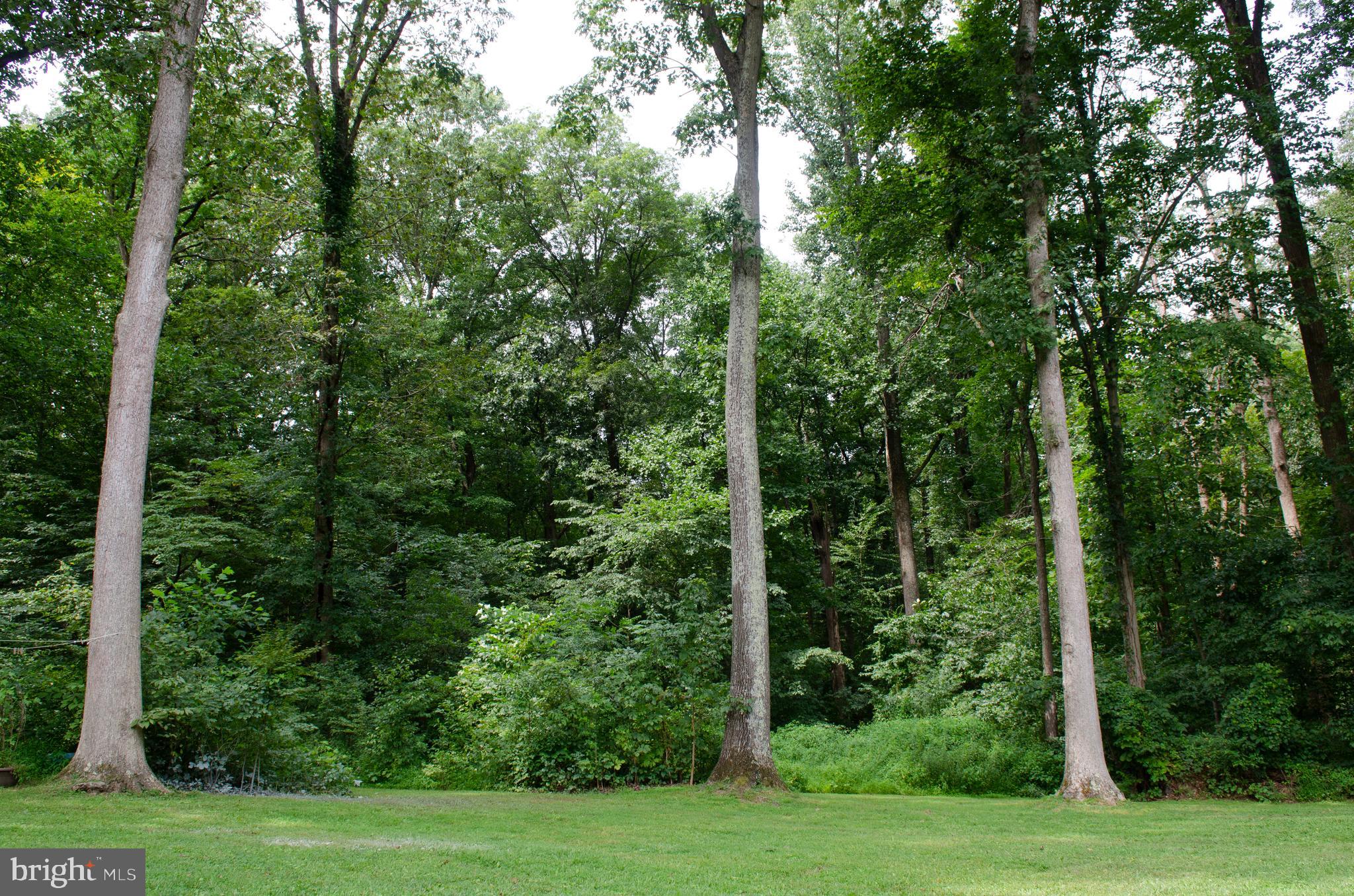 425 Old Conowingo Road Conowingo, MD 21918 - Photo 45 of 60 Gallery Image 45