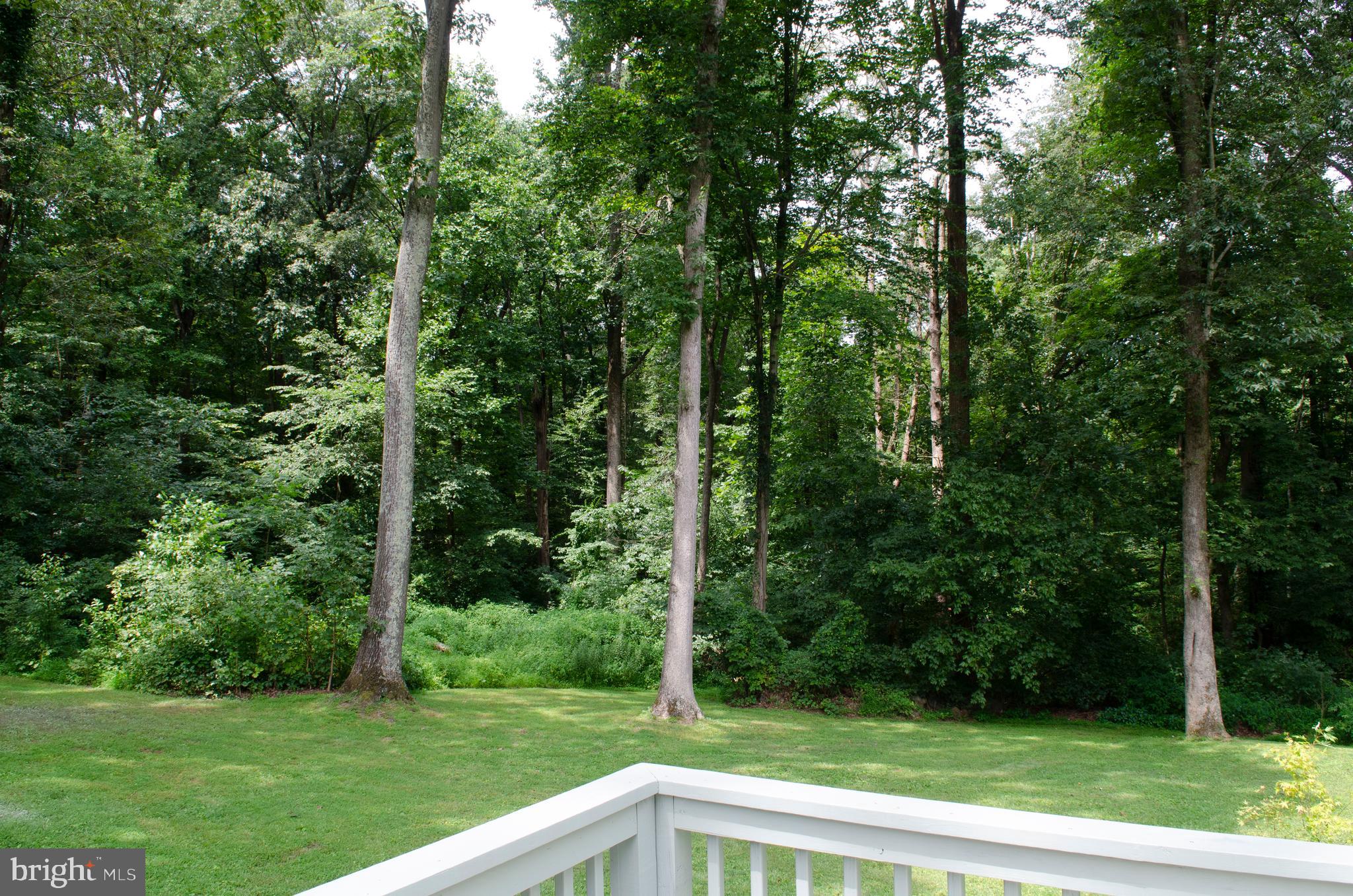 425 Old Conowingo Road Conowingo, MD 21918 - Photo 52 of 60 Gallery Image 52