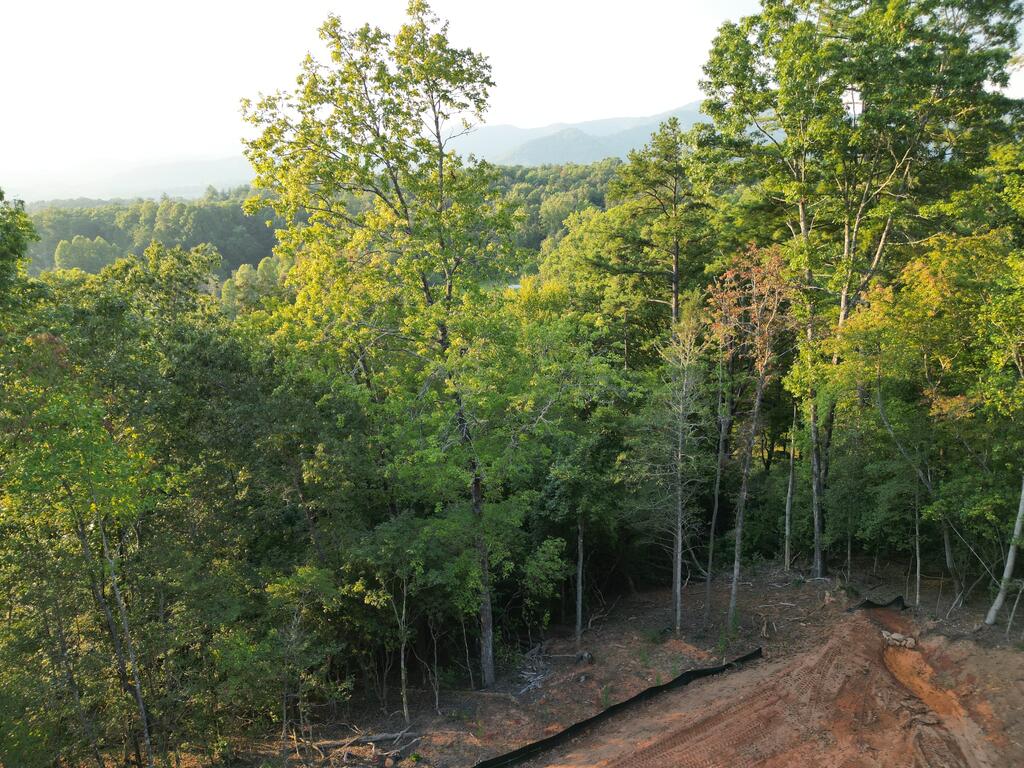 Tbd Harris Ridge Lane Hayesville, NC 28904 - Photo 6 of 32 Gallery Image 6