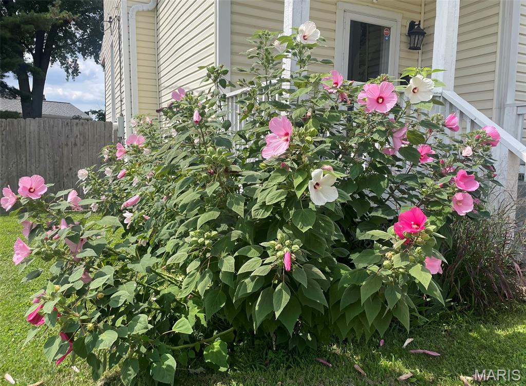 6410 Wade Avenue St. Louis, MO 63139 - Photo 43 of 45