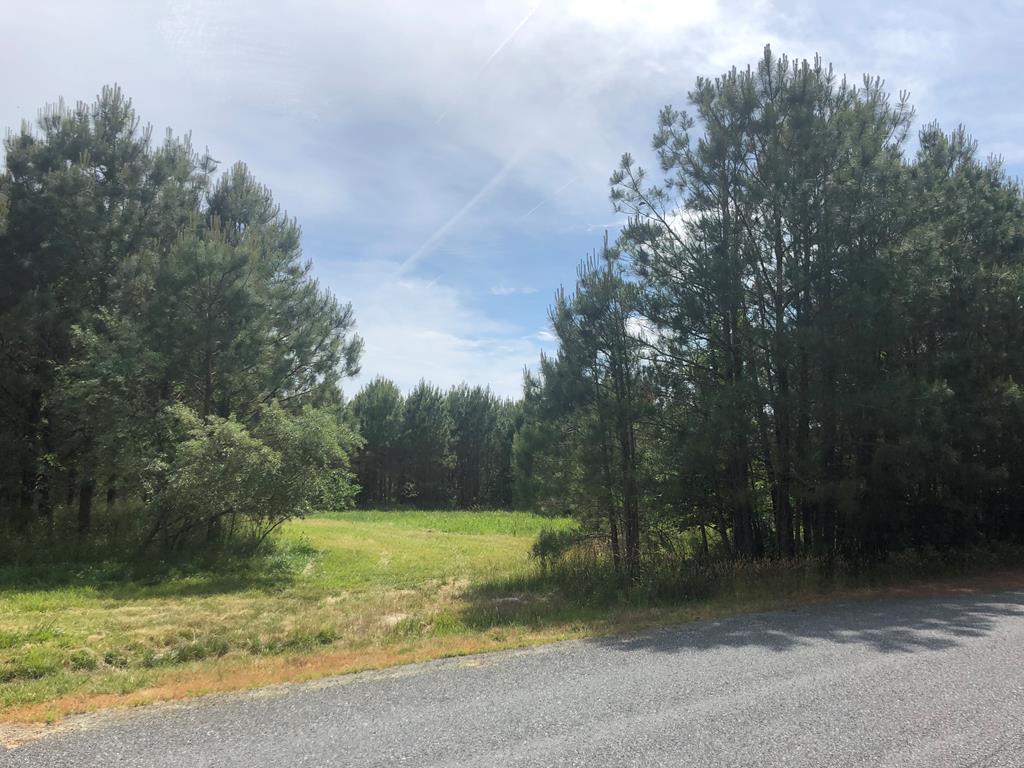 Lot 3 Green Landing Road, Unit 3 Onancock, VA 23417 - Photo 6 of 43