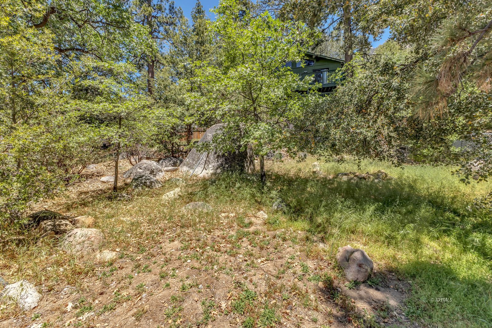 25595 Glen Road Idyllwild, CA 92549 - Photo 48 of 51 a view of a yard with plants and large trees