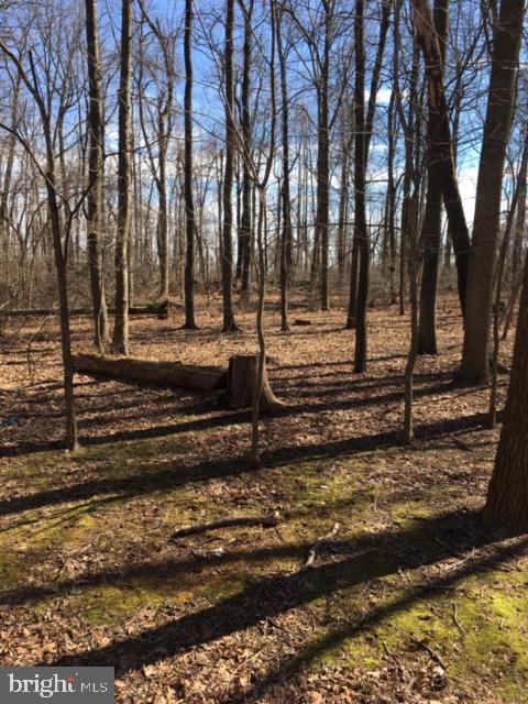 740 East Butter Road Dover, PA 17315 - Photo 25 of 27