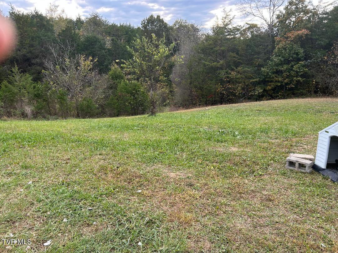 1365 Mohawk Ridge Road Bulls Gap, TN 37711 - Photo 20 of 24 thumbnail (19)