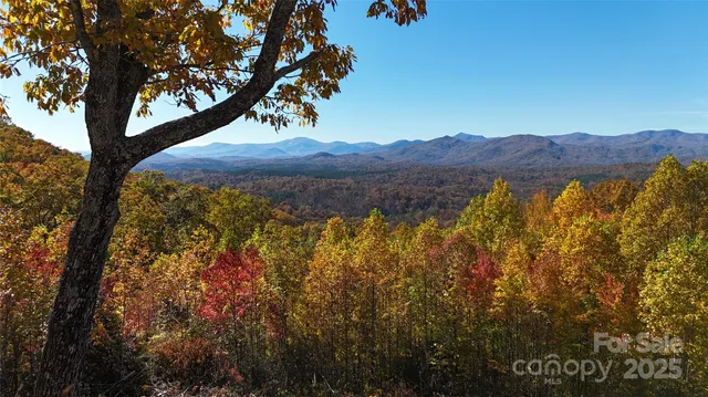 a view of mountain with a tree in the background