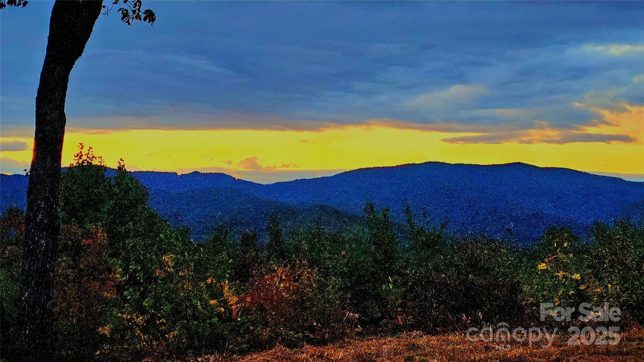 0 The Fls Road, Unit 1 Union Mills, NC 28167 - Photo 9 of 14 a view of a sky from a yard
