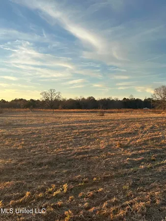 $90,000 | 0 Ovelle Lee Road, Poplarville, MS 39470