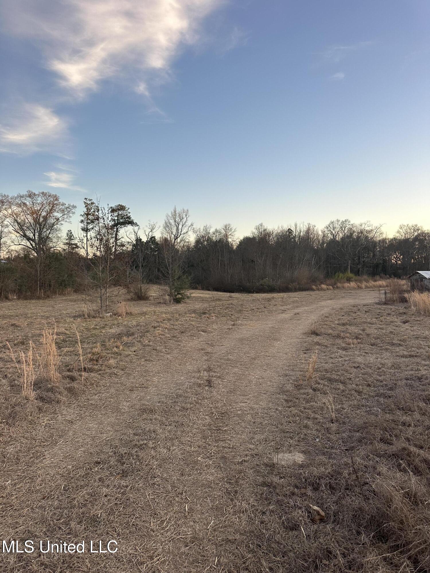 0 Ovelle Lee Road Poplarville, MS 39470 - Photo 4 of 6 Land View 5 toward front Ovelle Lee