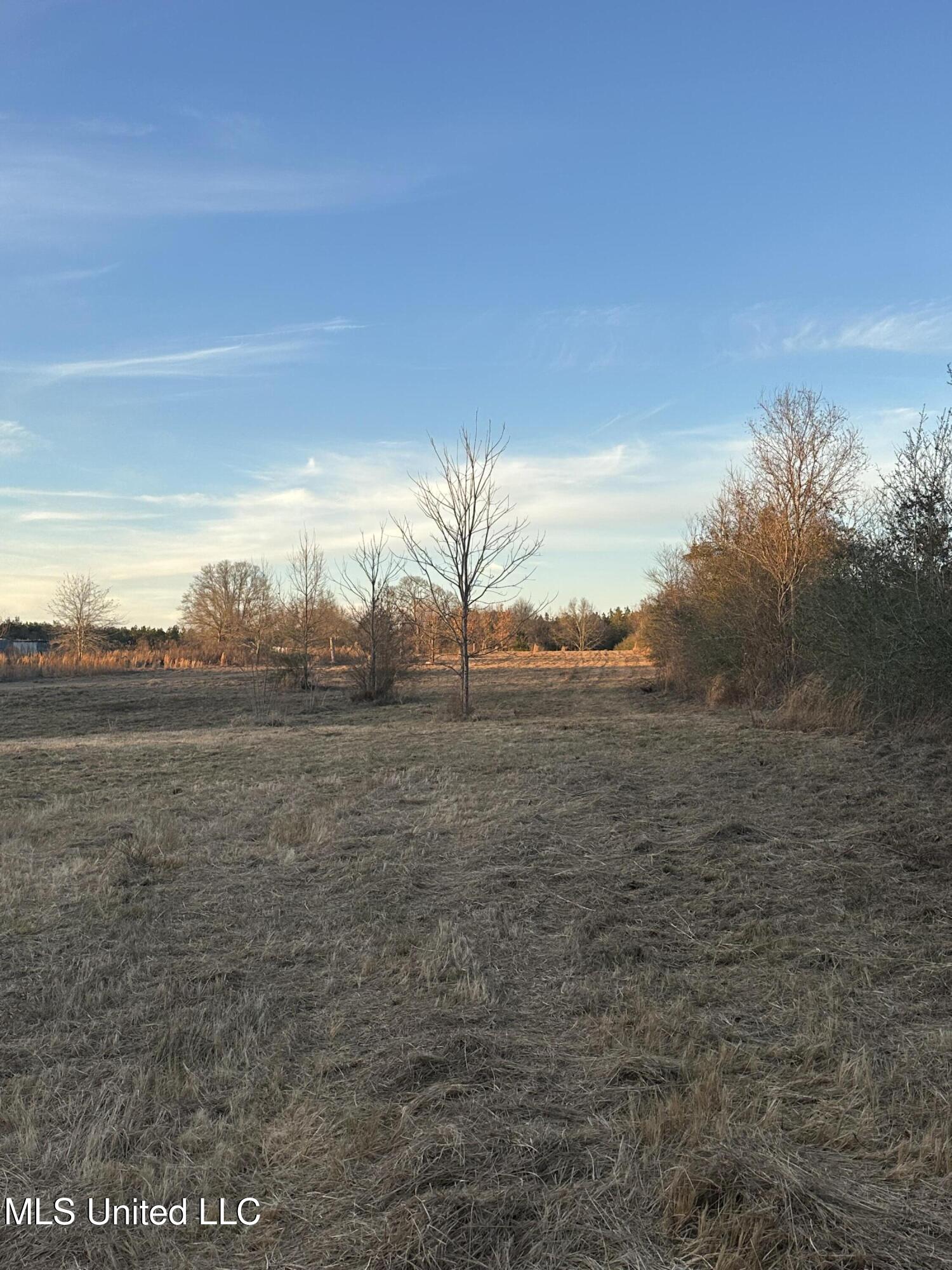 0 Ovelle Lee Road Poplarville, MS 39470 - Photo 5 of 6 Land View 1 Ovelle Lee