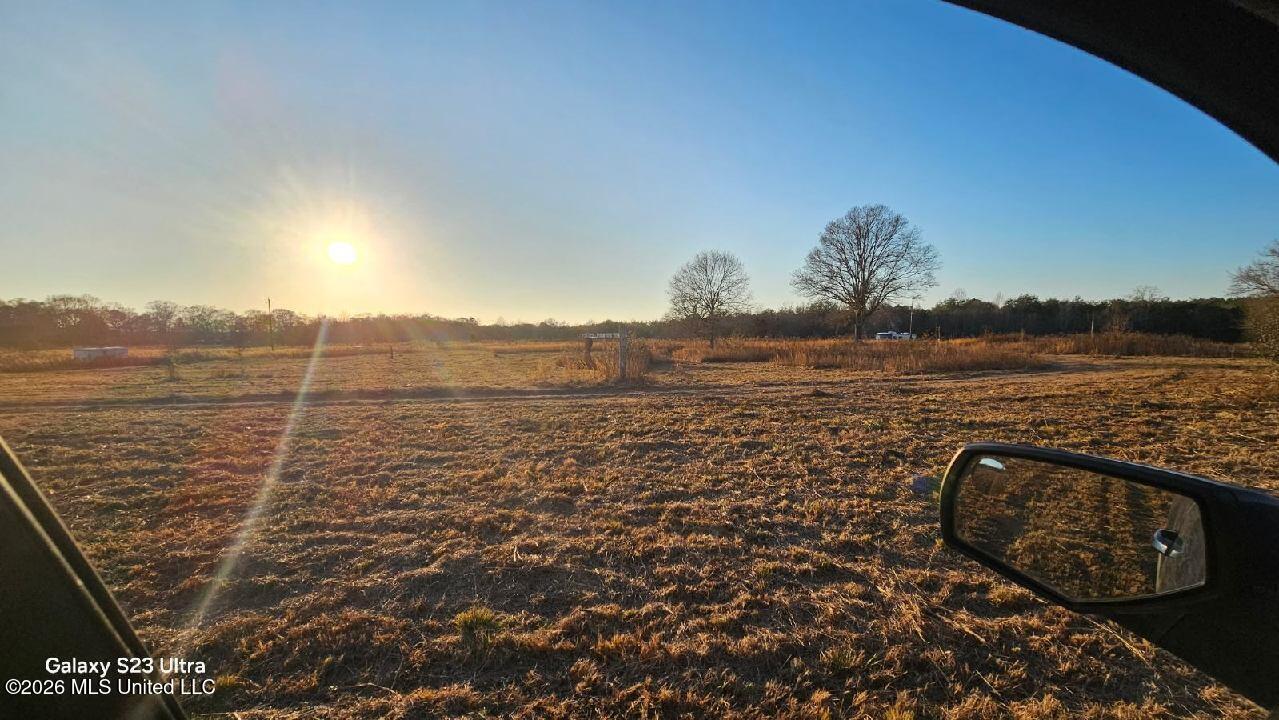 0 Ovelle Lee Road Poplarville, MS 39470 - Photo 6 of 6 Additional photo Ovelle Lee Rd