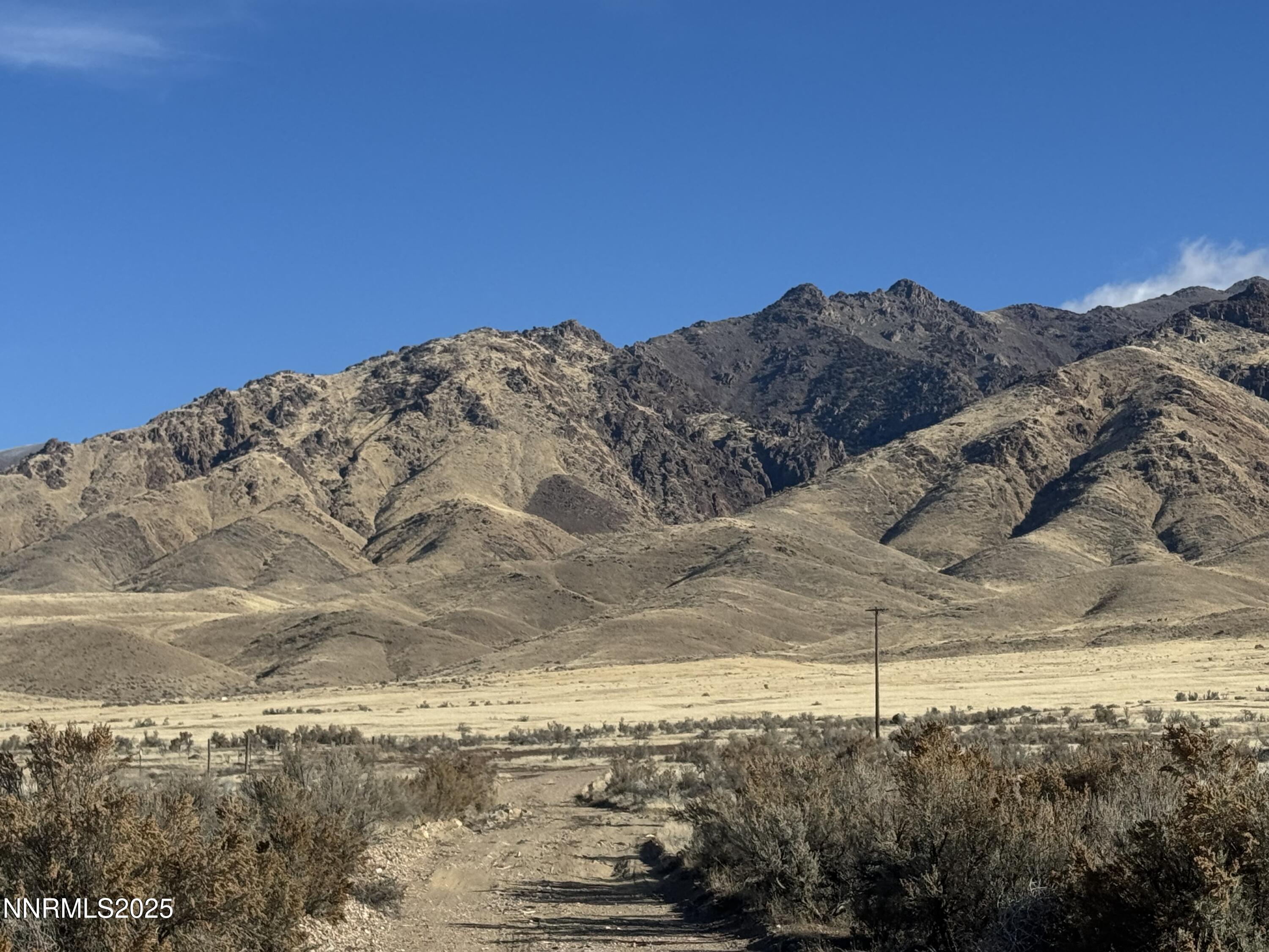 1111015 Well Road Imlay, NV 89418 - Photo 9 of 26 a view of a dry yard with mountains in the background