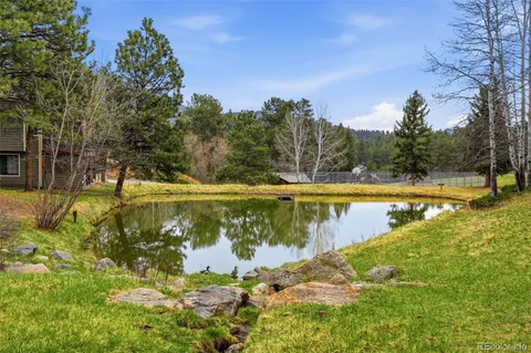 a view of a lake view with a large tree